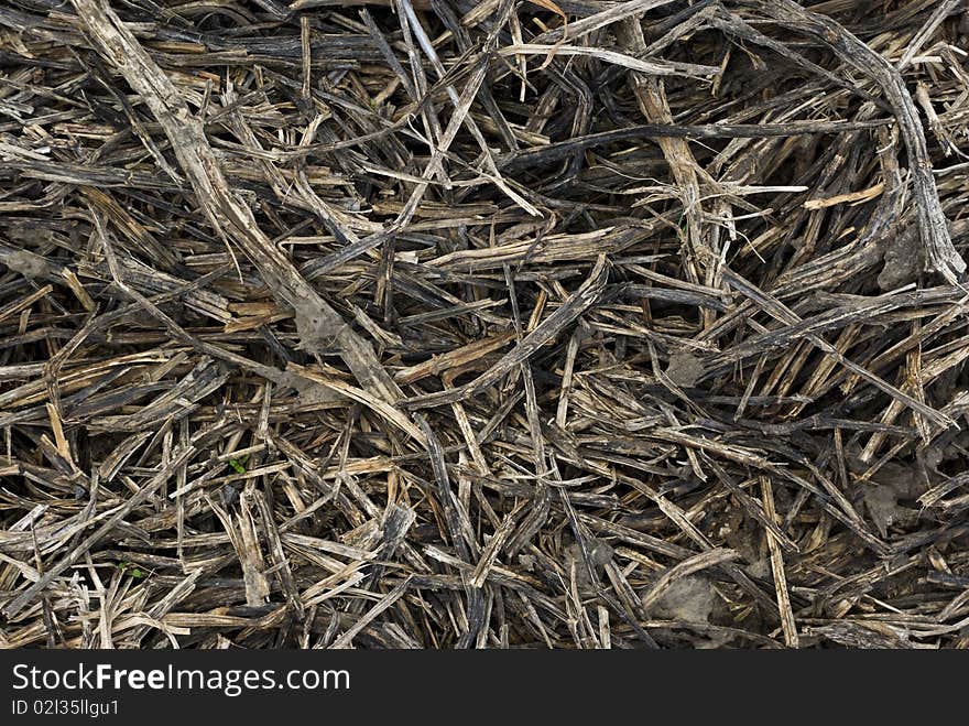 Braided dried bushes