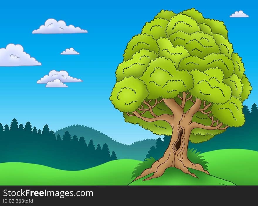 Big leafy tree in landscape - color illustration.