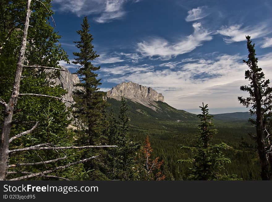 Summer in the Rocky Mountain foothills. Summer in the Rocky Mountain foothills