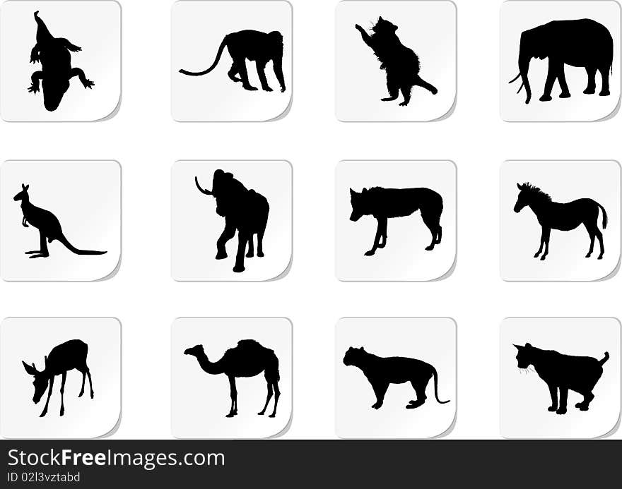 Animals. Similar images can be found in my gallery.