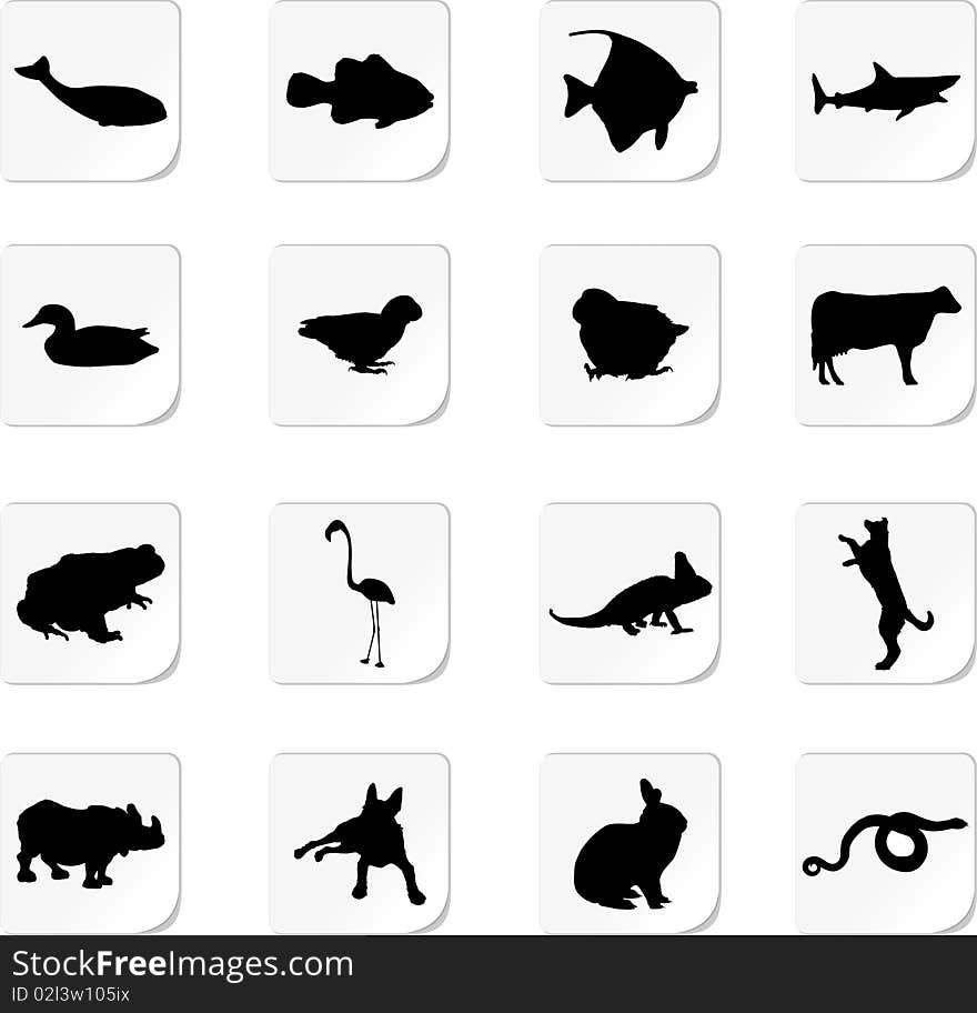 Animals. Similar images can be found in my gallery.