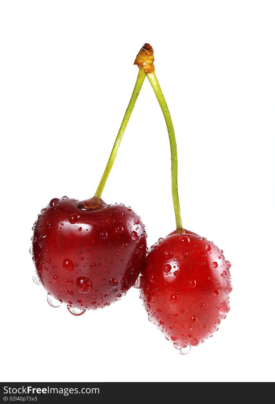 Sweet cherry two full focus