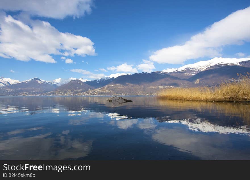 Lake with trees and grass on the banks