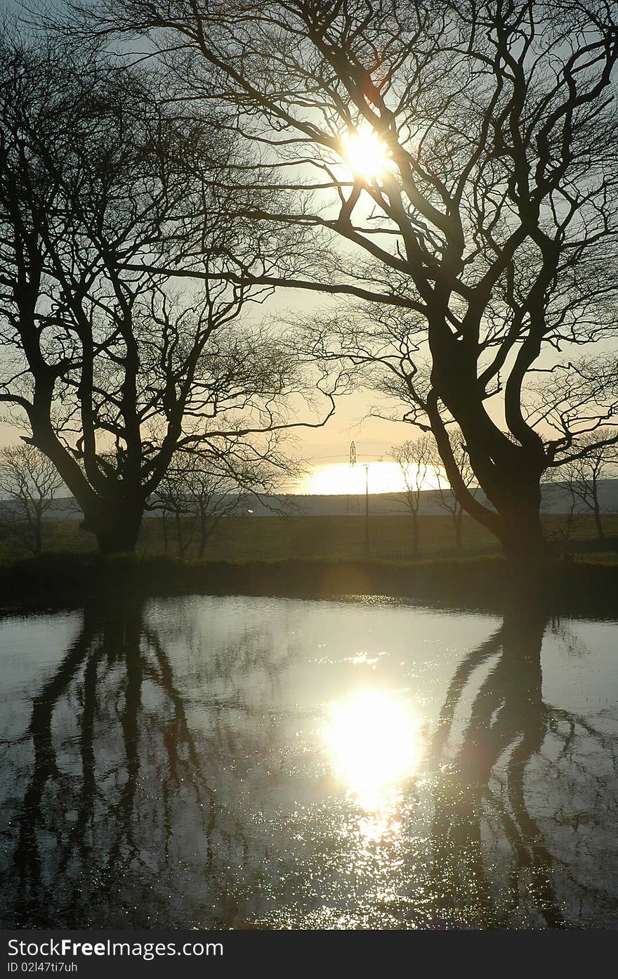 Sunset At A Pond Between 2 Trees