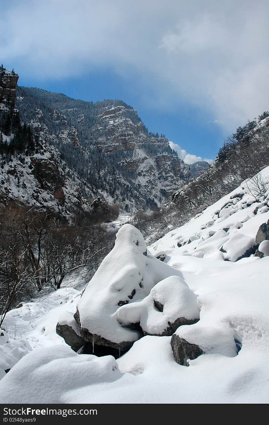 Snowy Landscape