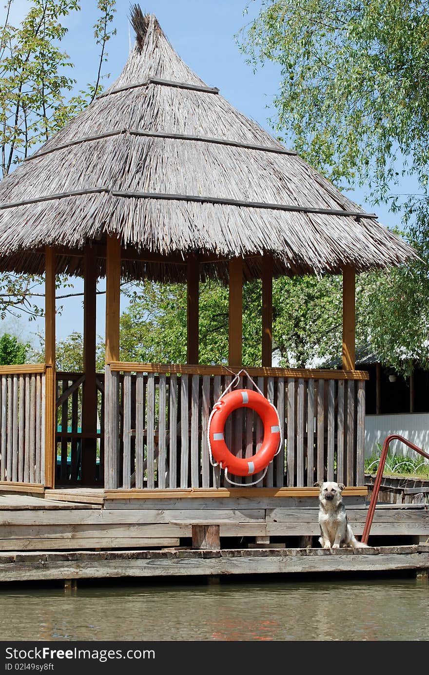 Wooden pavilion and dog on quay