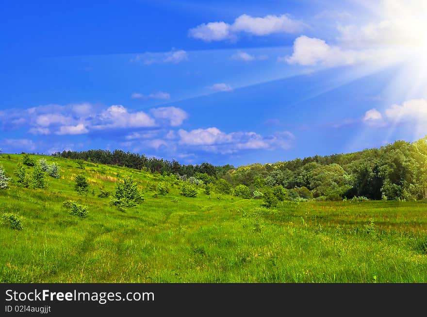 Fresh green grass with bright blue sky and sunburst background. Fresh green grass with bright blue sky and sunburst background