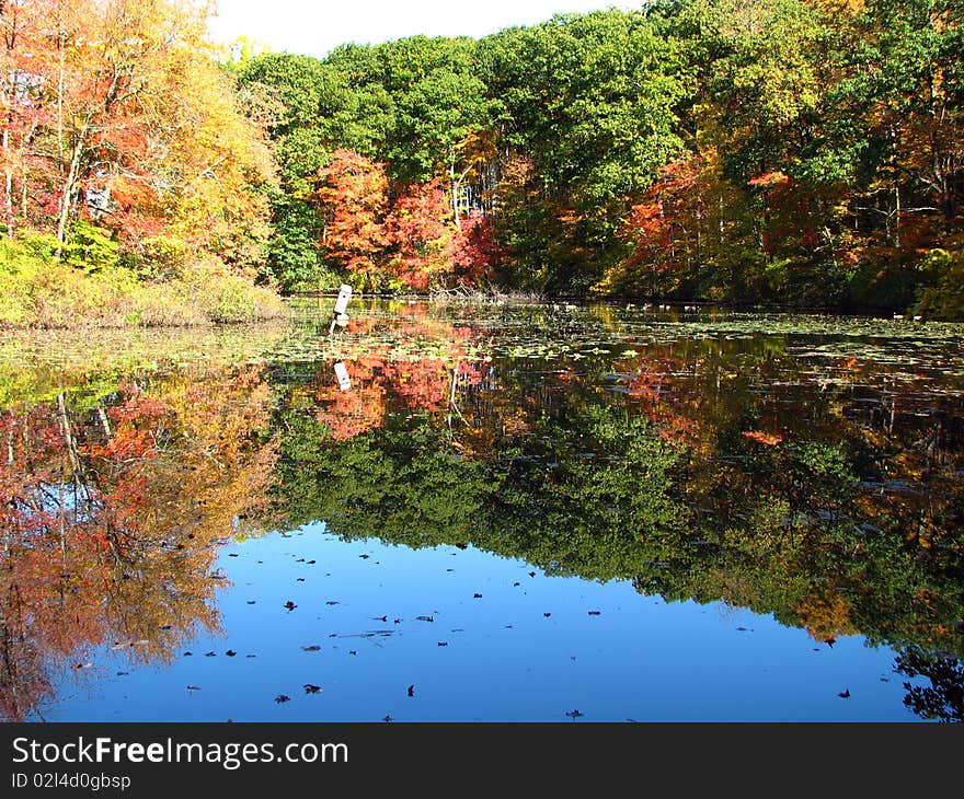 Autumn Lake