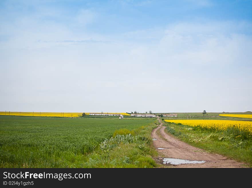 Farm in the countryside