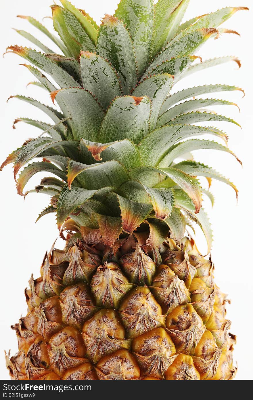 Pineapple fruit, with sharply hair. Pineapple fruit, with sharply hair.