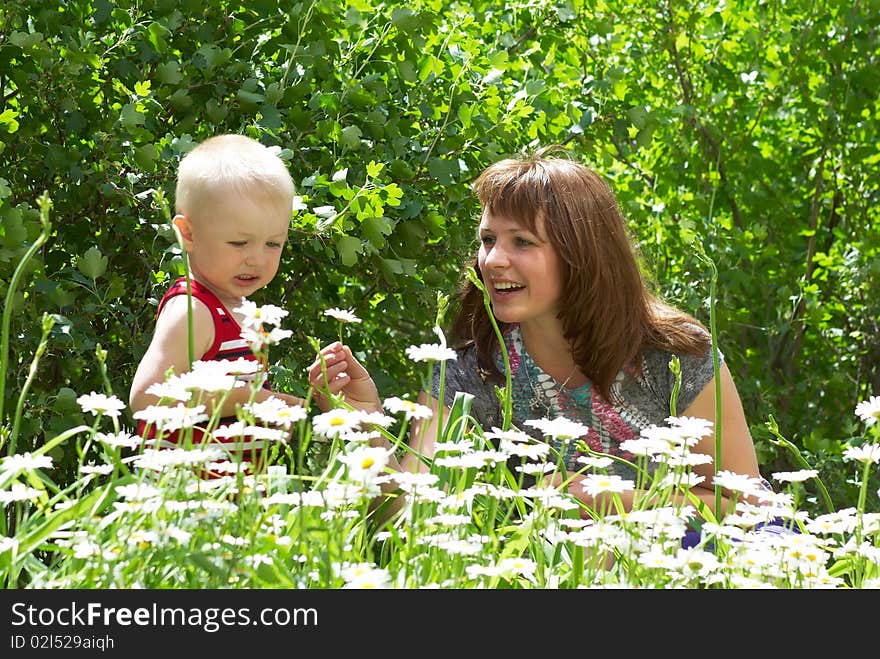 Young mum with the son look at camomiles in the summer. Young mum with the son look at camomiles in the summer