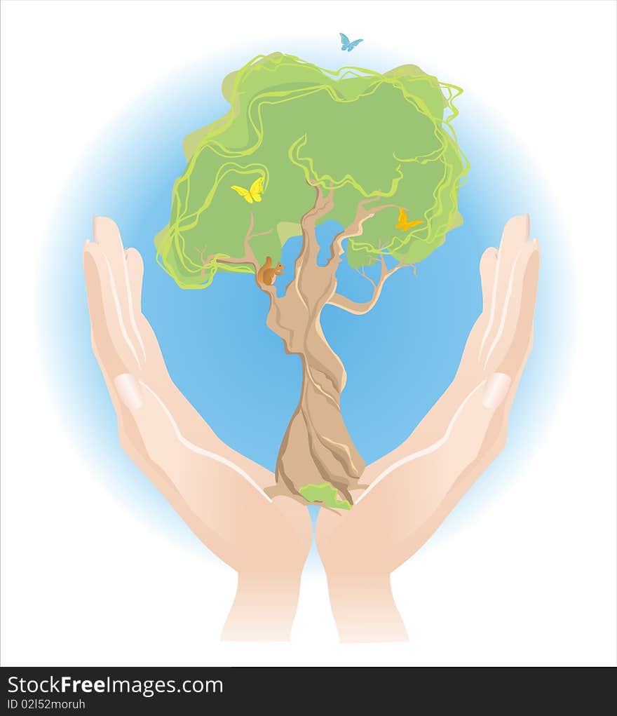 Careful hands hold green tree. Careful hands hold green tree