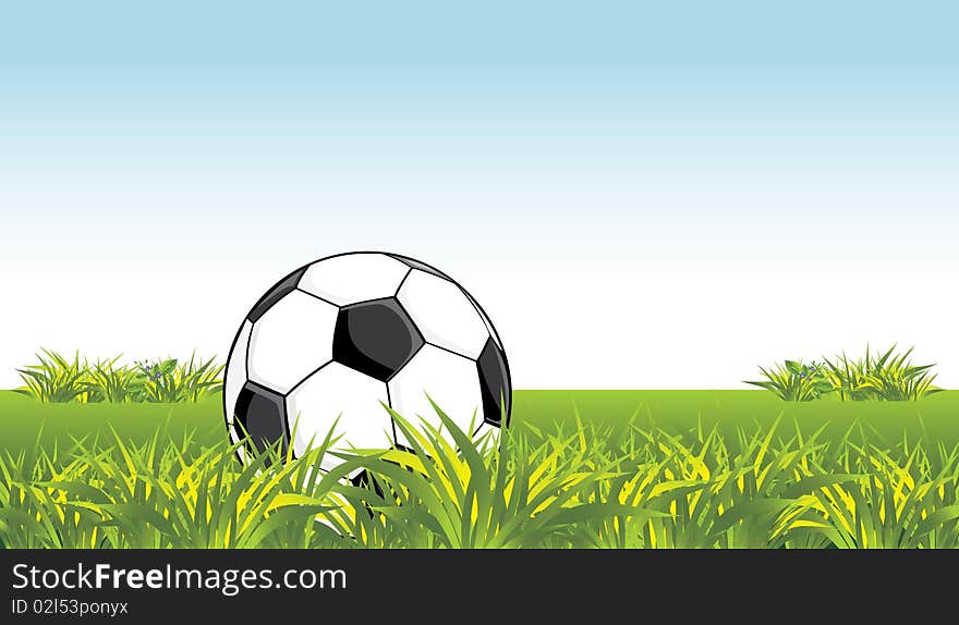 Soccer Ball In The Grass