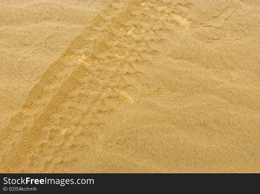 Track Wheel In The Sand