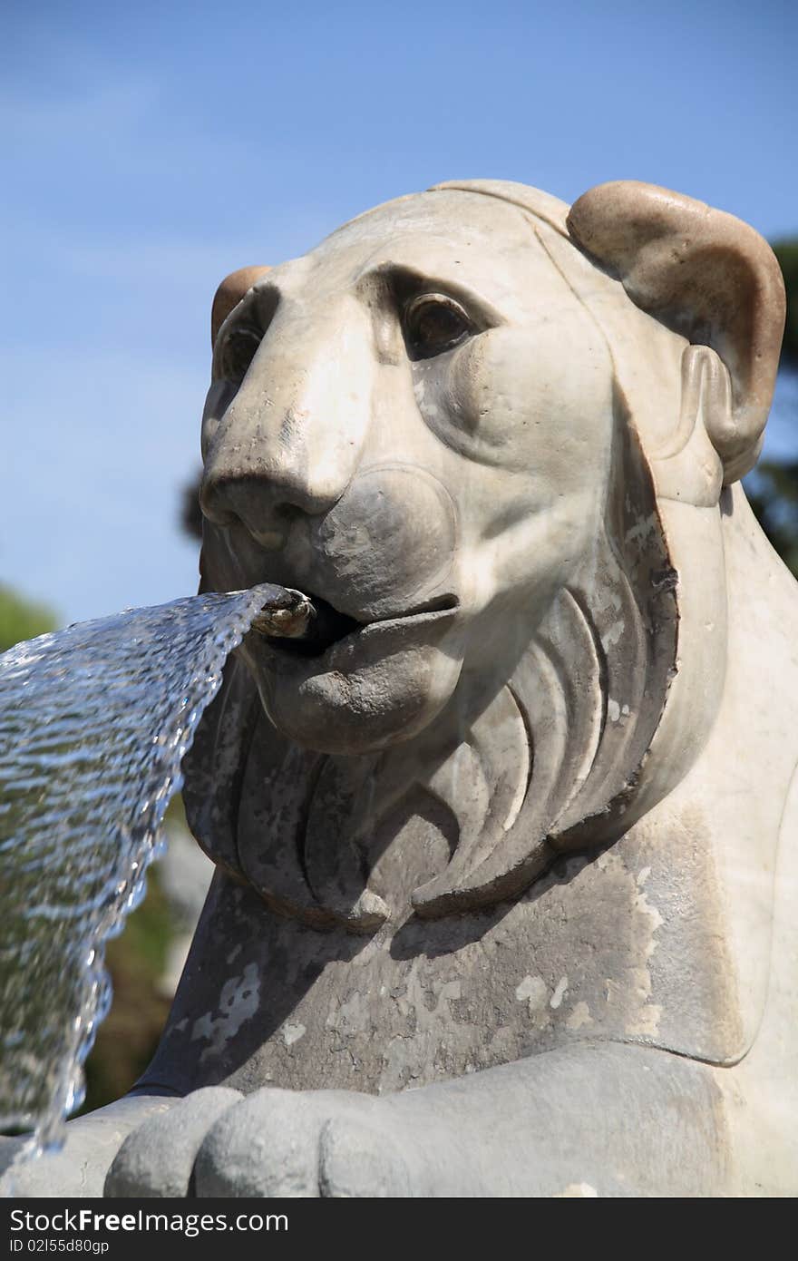 Lion fountain at Piazza del Popolo Rome