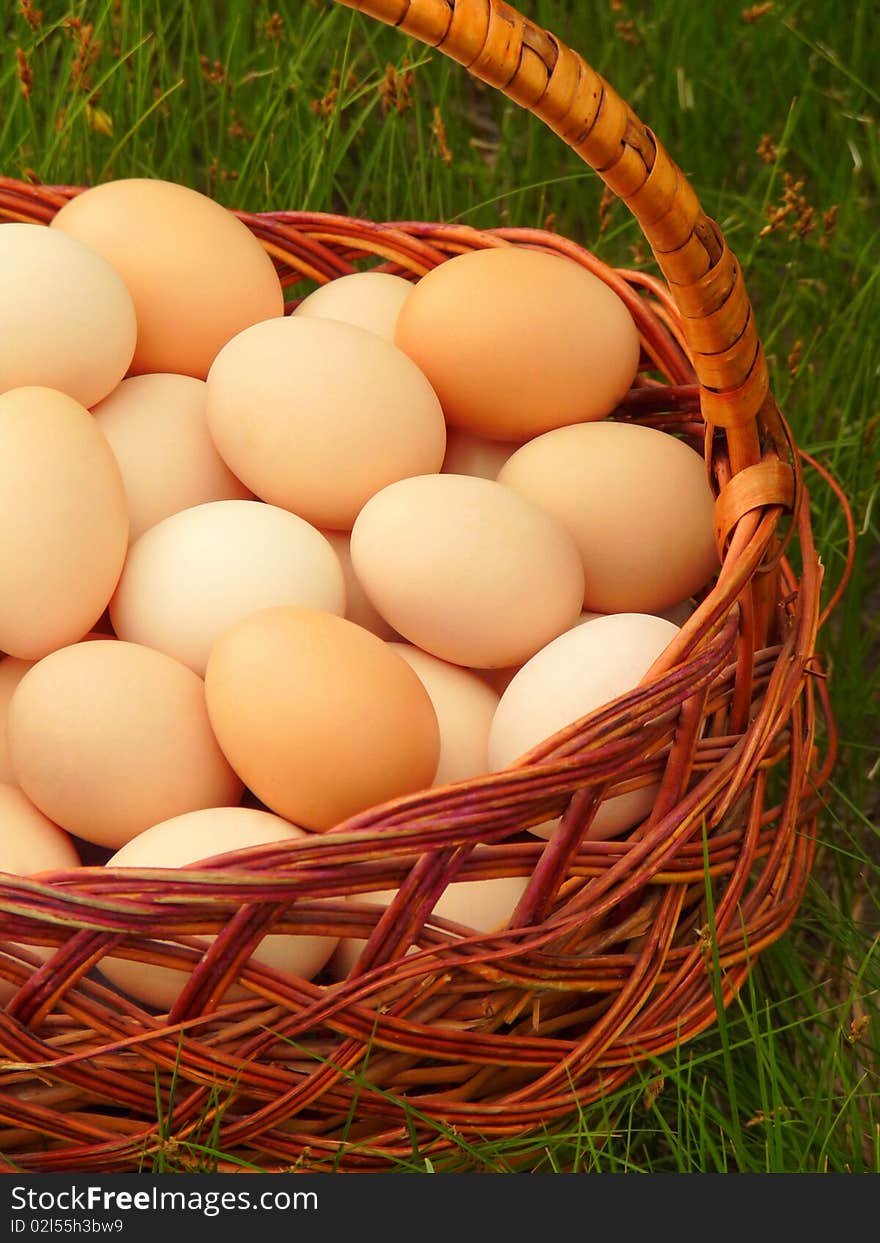 Eggs In The Basket