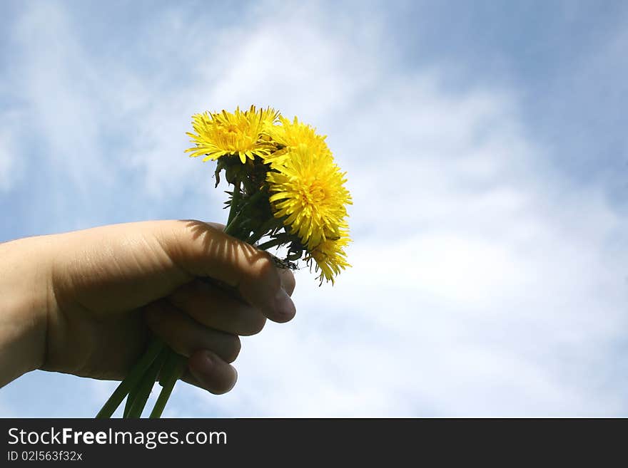 Flowers in hand