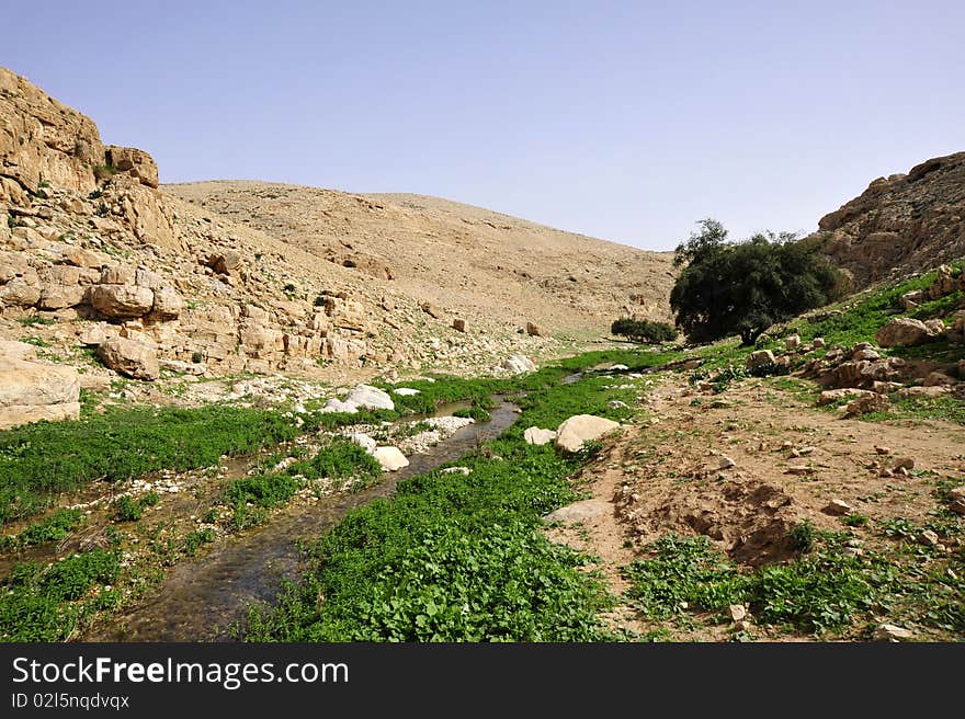 Flowing stream and greenery in Judea Desert - Wadi Qelt at spring, Israel. Flowing stream and greenery in Judea Desert - Wadi Qelt at spring, Israel.