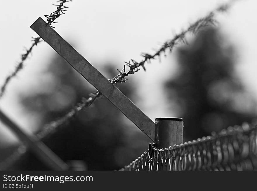 Barbed Wire