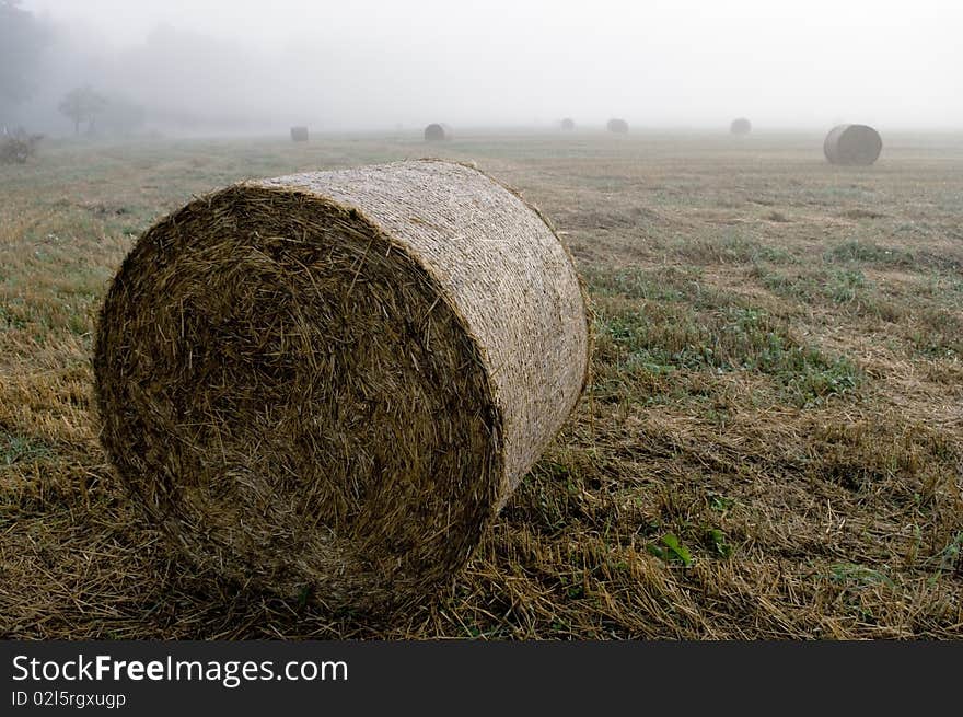 Autumn baling