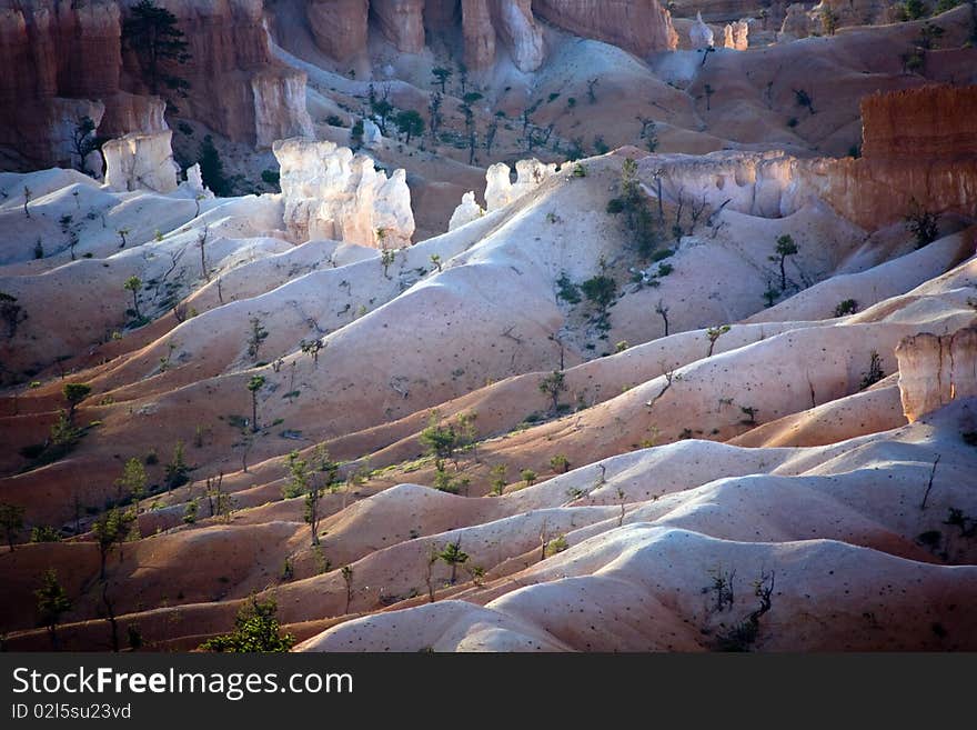 Bryce Canyon Hoodoos In The First Rays Of Sun