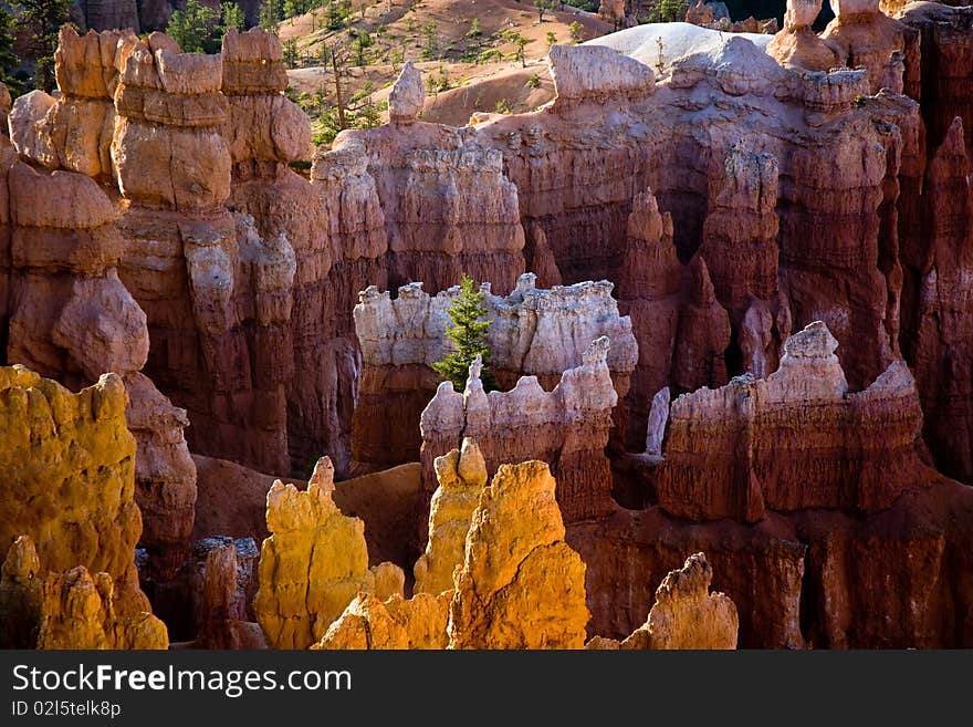 Bryce Canyon hoodoos in the first rays of sun