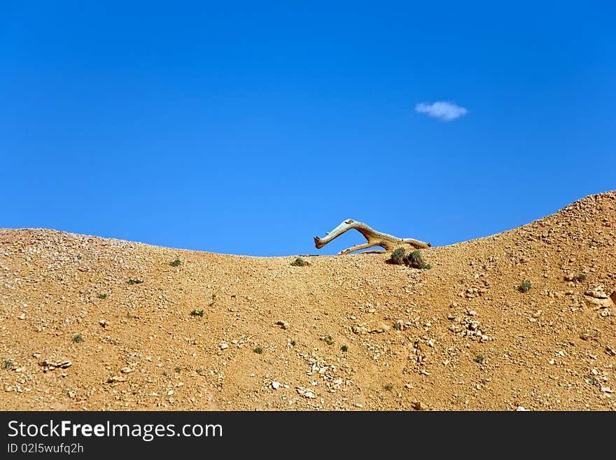 Landscape in Bryce Canyon with magnificent Stone formation and figures created by nature out of wood like animals