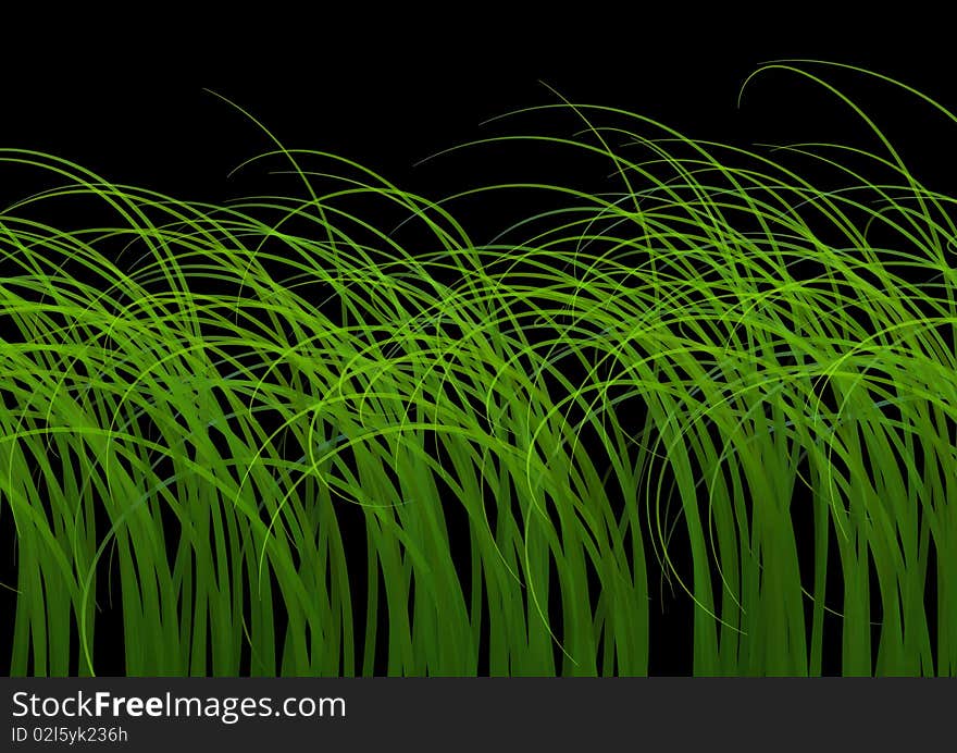 Illustration of isolated green grass