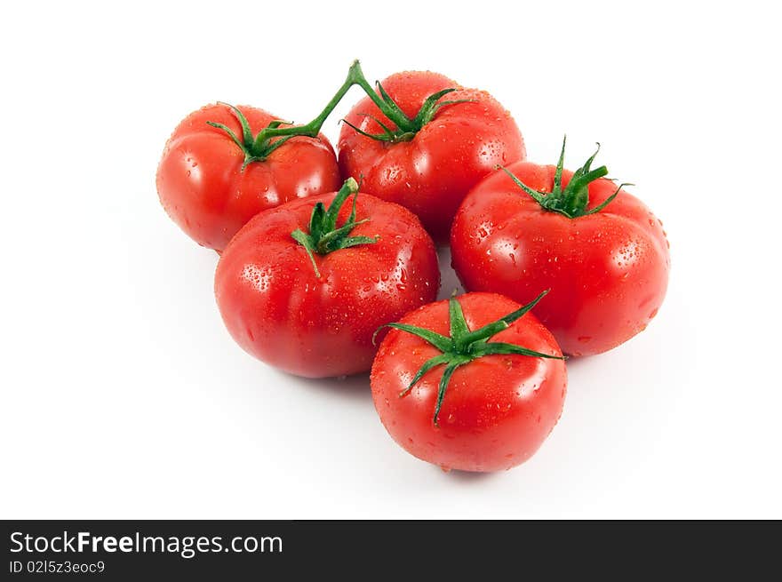 Five tomatoes isolated on white. Five tomatoes isolated on white