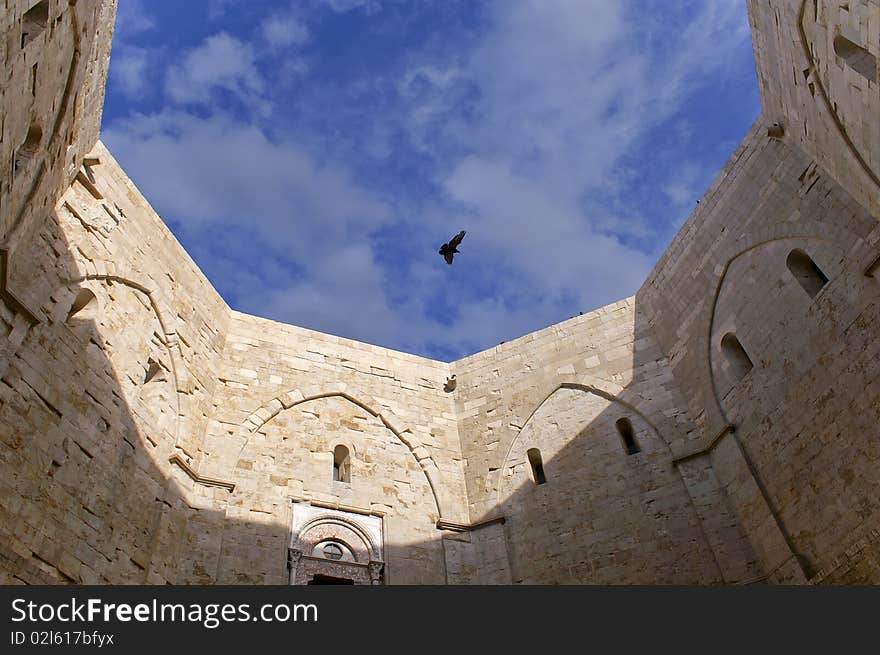 Bird flying over a middleages castle in the south of Italy. Bird flying over a middleages castle in the south of Italy