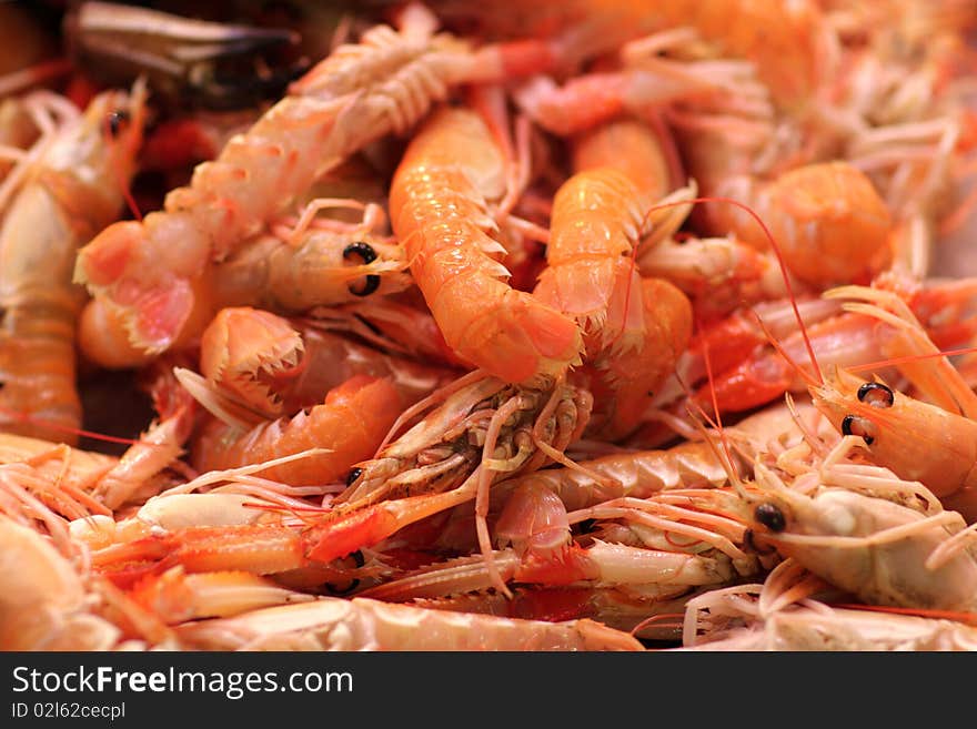 Boiled prawns at La Boqueria market in Barcelona, Spain. Boiled prawns at La Boqueria market in Barcelona, Spain