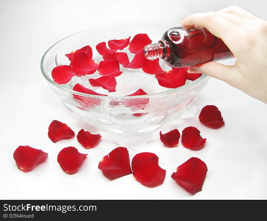 Hand in plate with clean water for spa with rose petals. Hand in plate with clean water for spa with rose petals