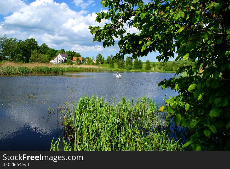 Secluded lake.