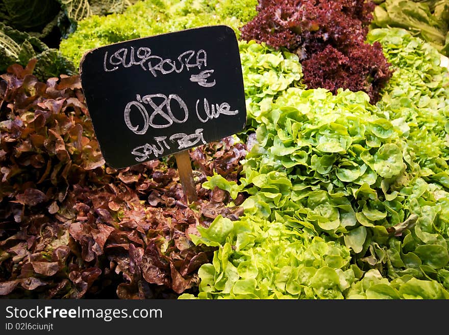 Partial view of a stall lettuce. Partial view of a stall lettuce