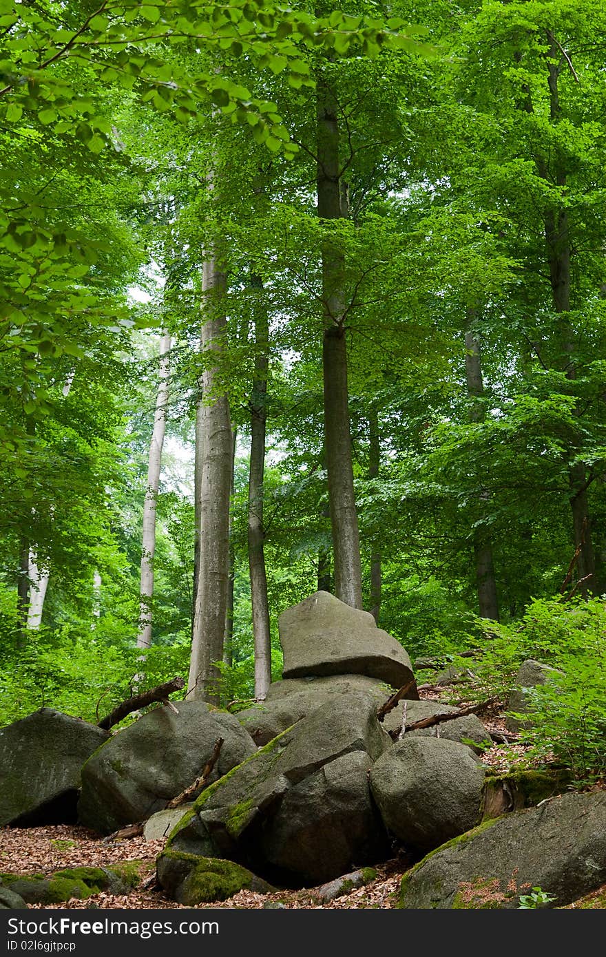 Geo park Felsenmeer (stone river), Germany. Geo park Felsenmeer (stone river), Germany