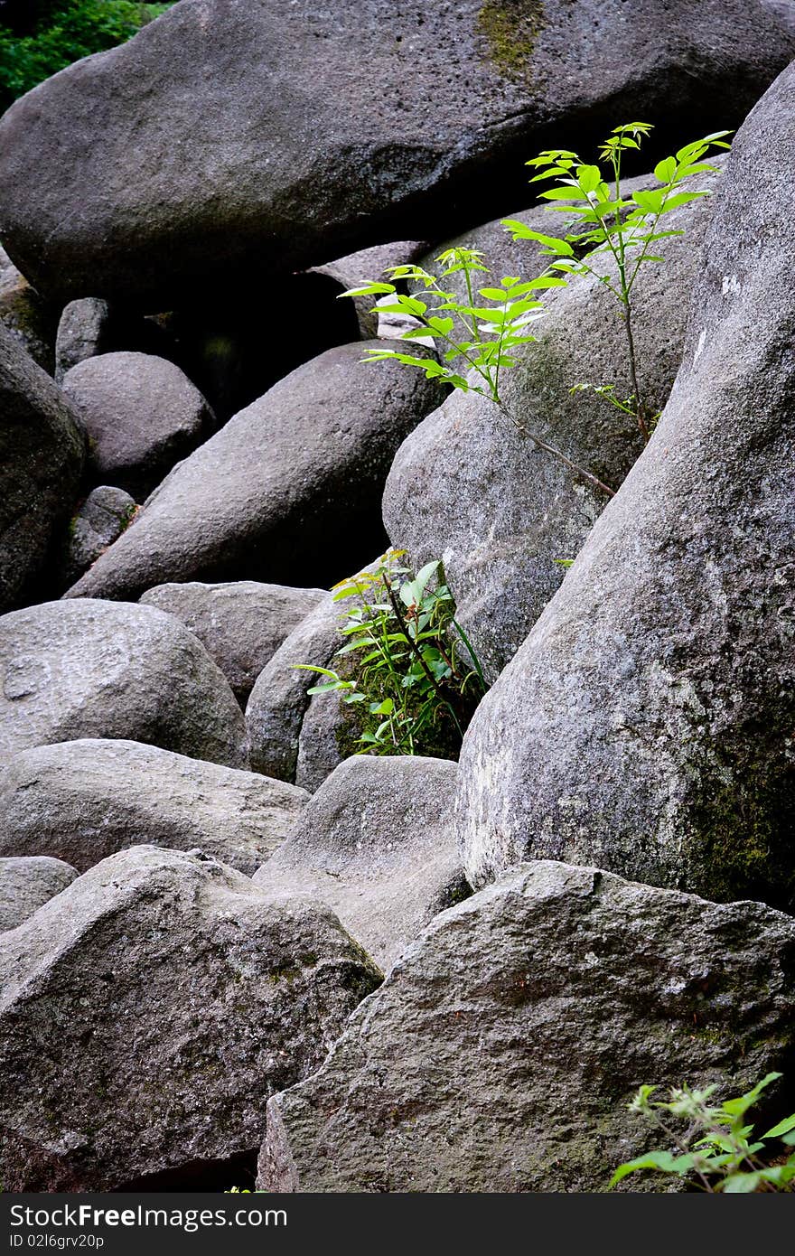 Geo park Felsenmeer (stone river), Germany. Geo park Felsenmeer (stone river), Germany