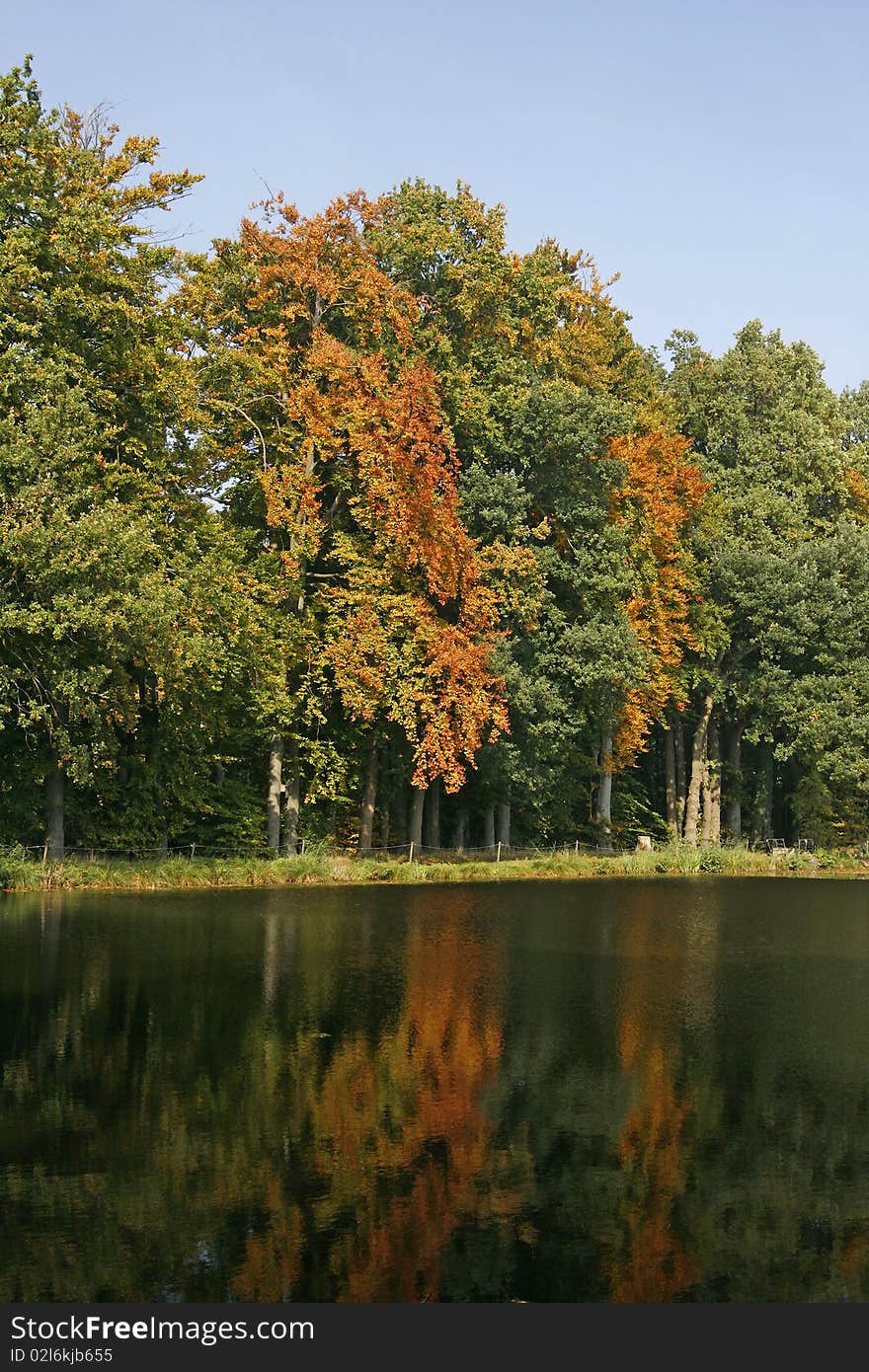 Pond In Autumn, Georgsmarienhuette, Germany