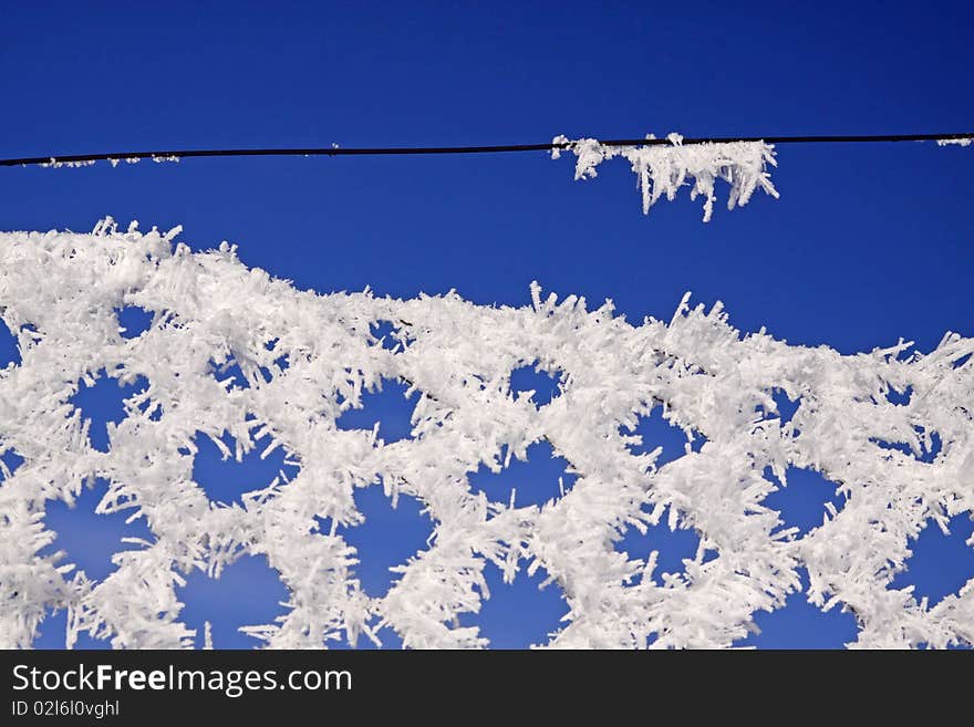 Wire-netting fence with hoarfrost in winter