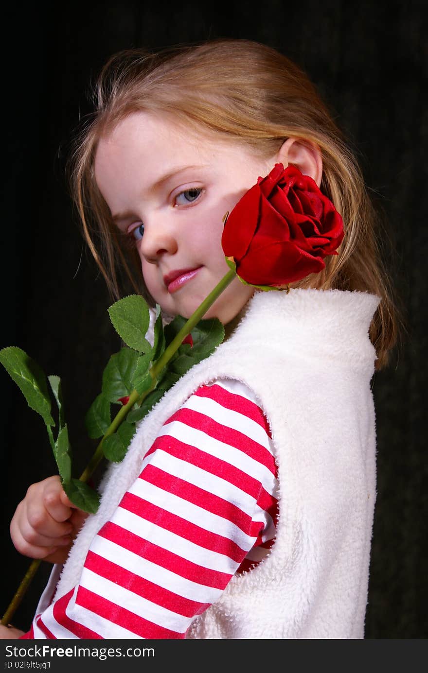 4 Year old girl posing in studio with a red rose. She has a very dreamy look in her eyes. 4 Year old girl posing in studio with a red rose. She has a very dreamy look in her eyes.