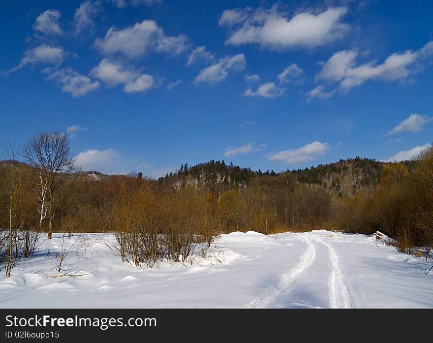 Landscape with winter wood road