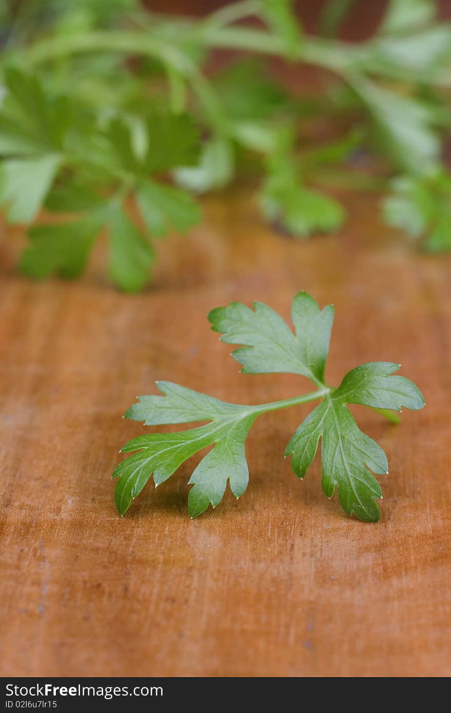 Green parsley on wood table