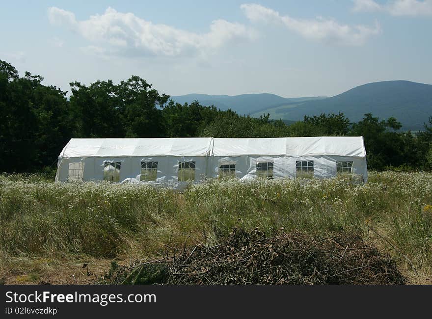 Tent in a field