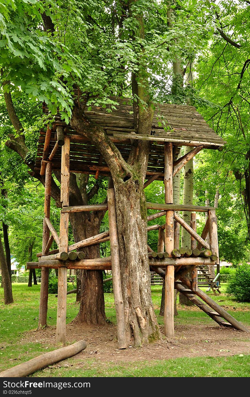 Pile of wood in the forest. Pile of wood in the forest