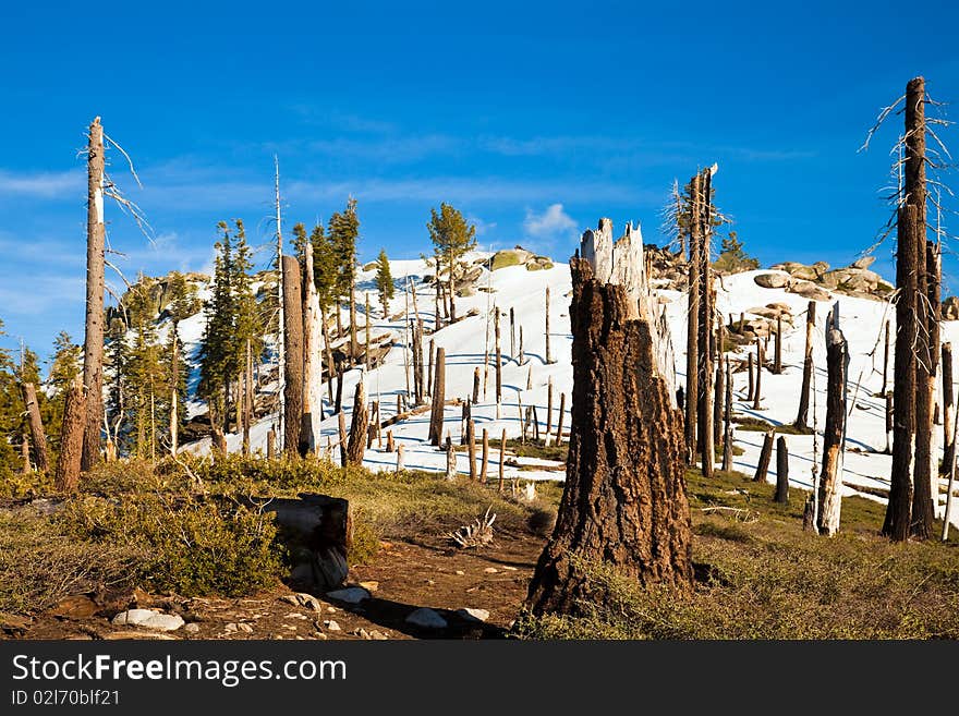 Smith Peak Trail