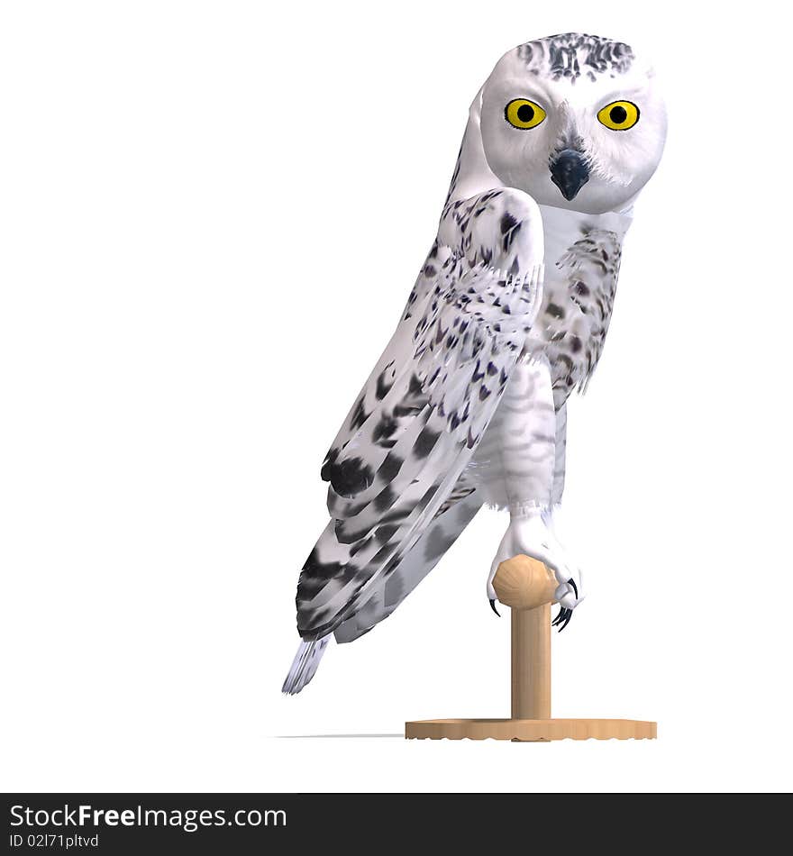 Snowy Owl Bird. 3D rendering with clipping path