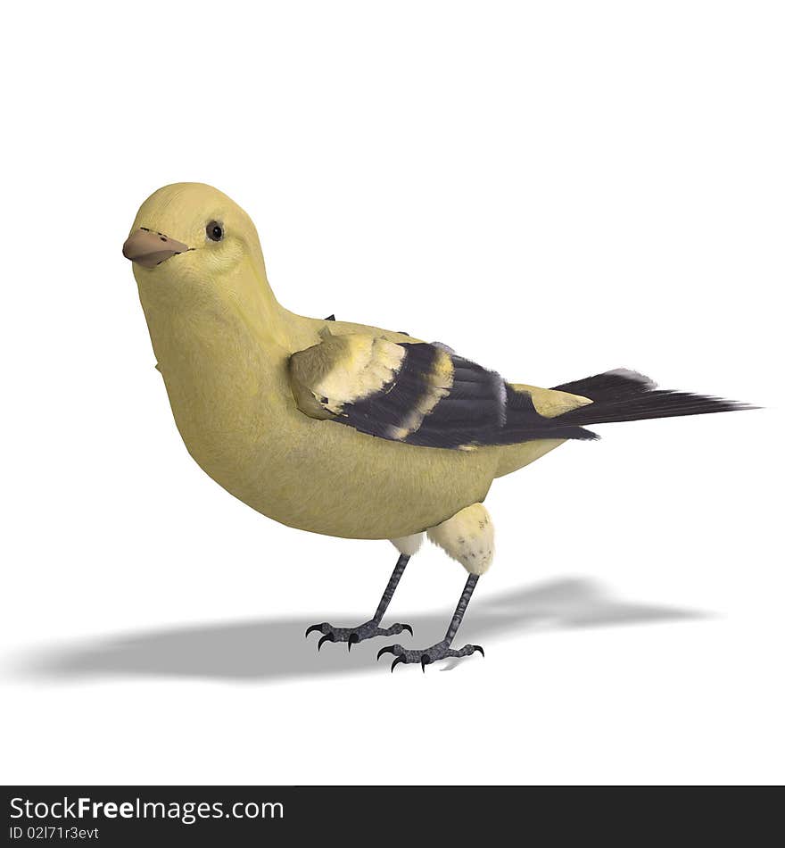 Female Goldfinch. 3D rendering with clipping path and shadow over white