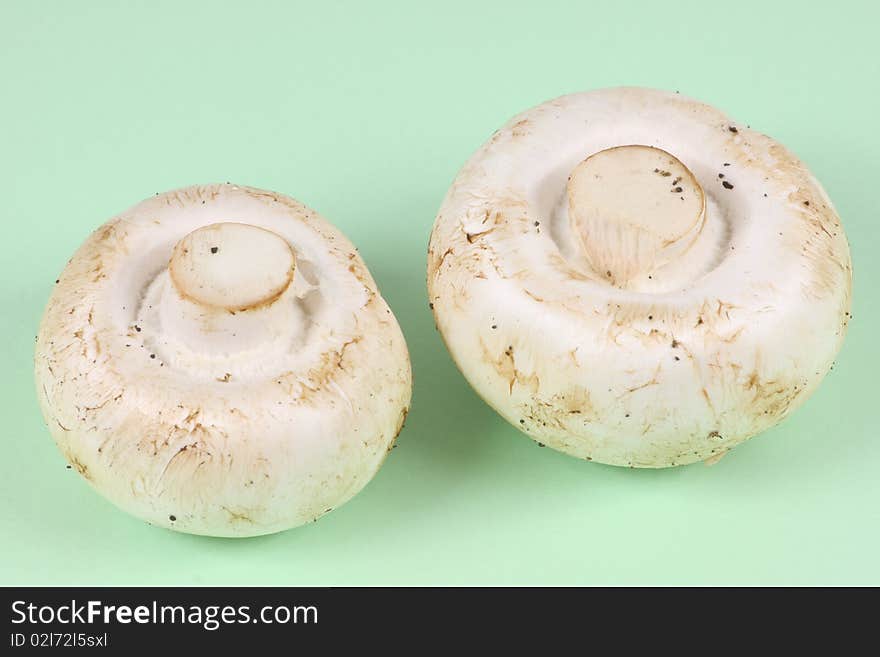 Group Of White Field Mushroom.