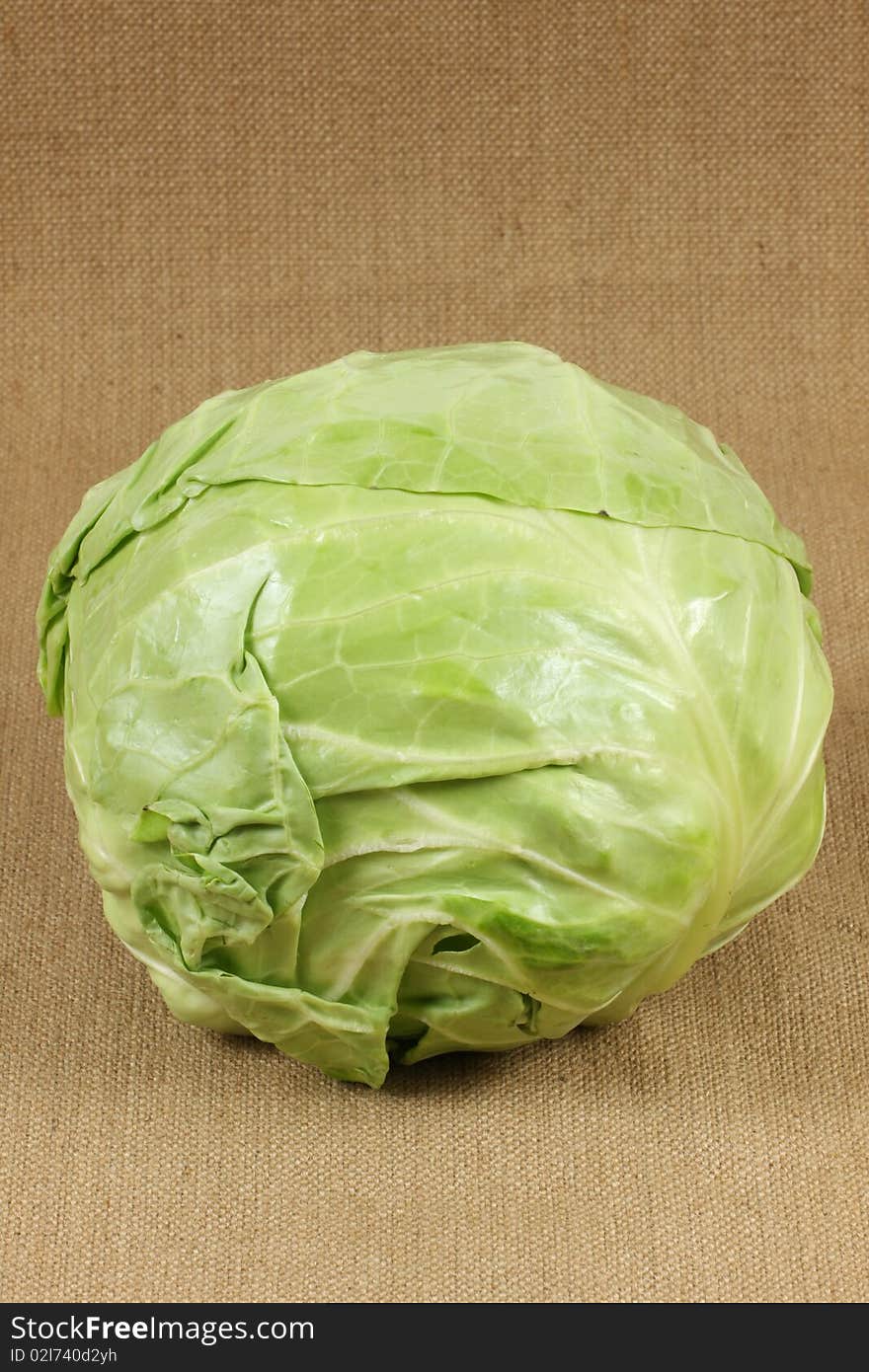 Cabbage