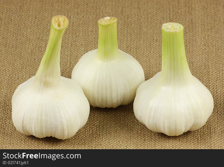 Fresh Garlic