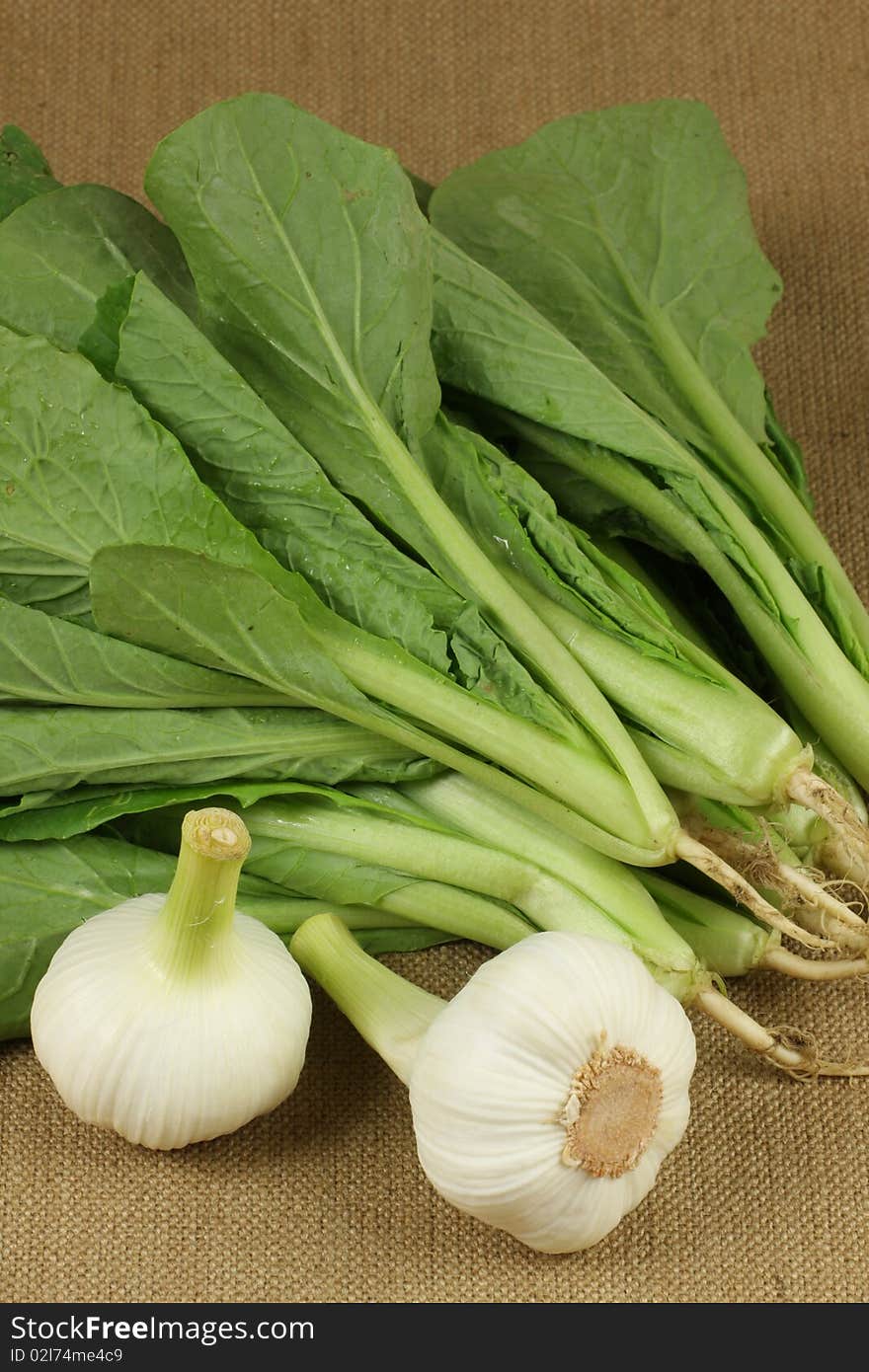 garlic and small Chinese cabbage closeup